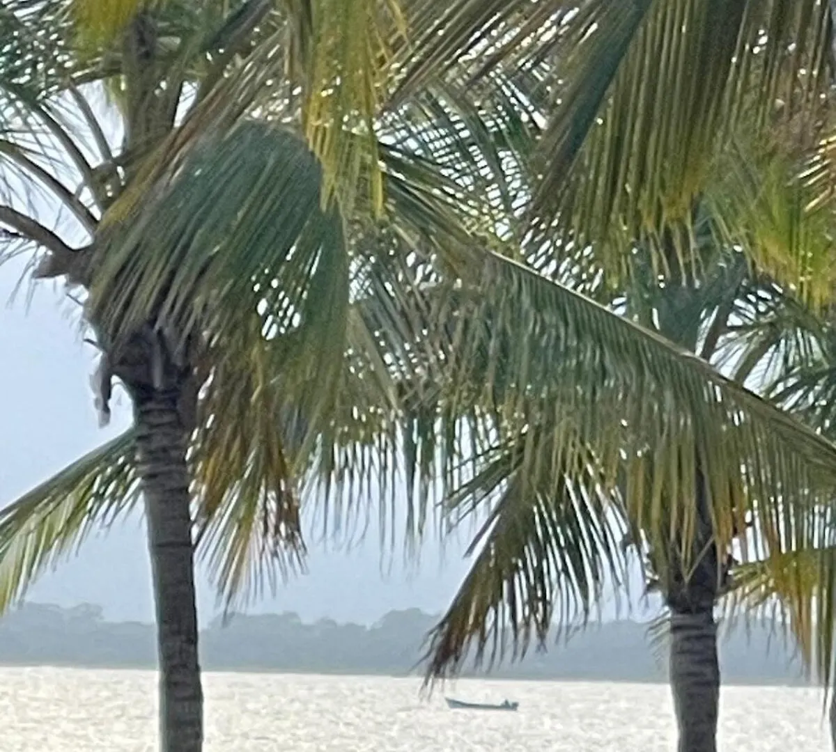 Playa Nueva Romana South Beach Boca del Soco Dominikanska republiken